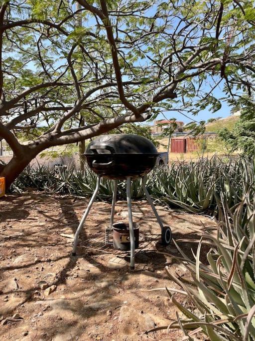 Casa Aloe Vera - Private House W/ Free Breakfast Cidade Velha Kültér fotó