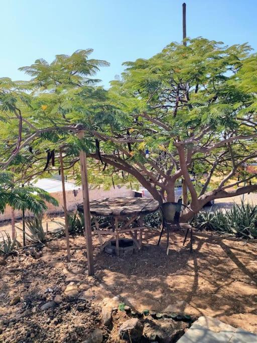 Casa Aloe Vera - Private House W/ Free Breakfast Cidade Velha Kültér fotó